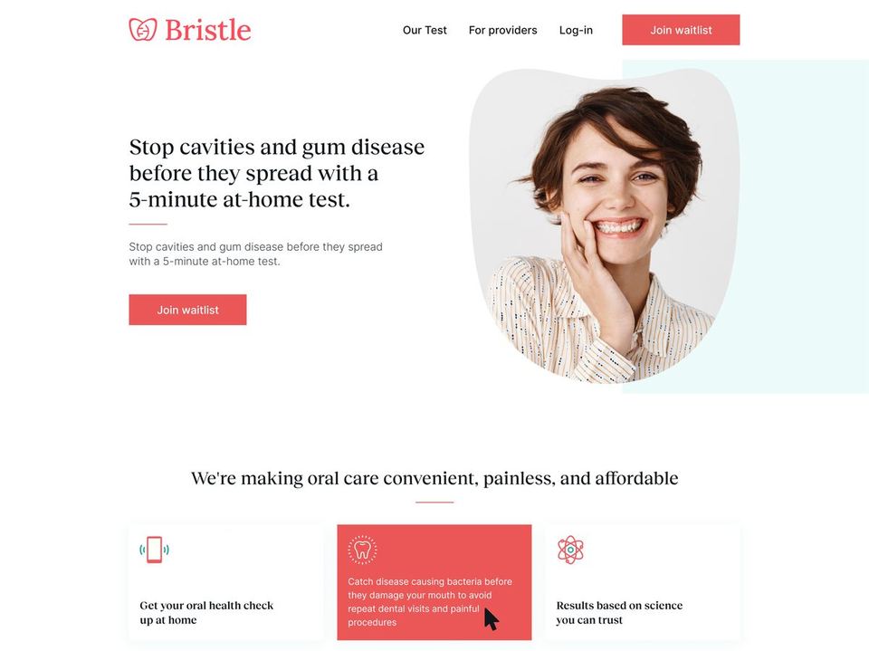 Bristle website design: Design overview