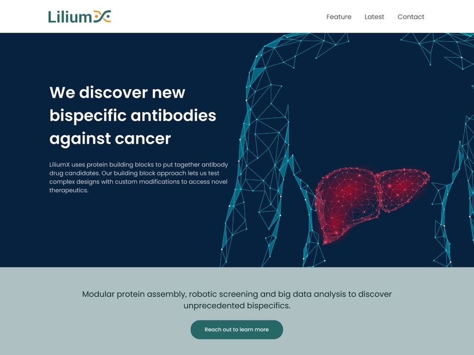 LiliumX website design: LiliumX V.3.0 ( hero image)